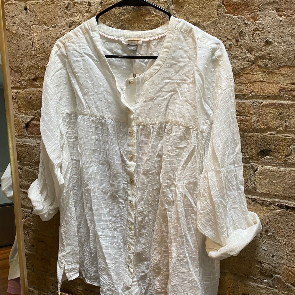 NWT anthropology top